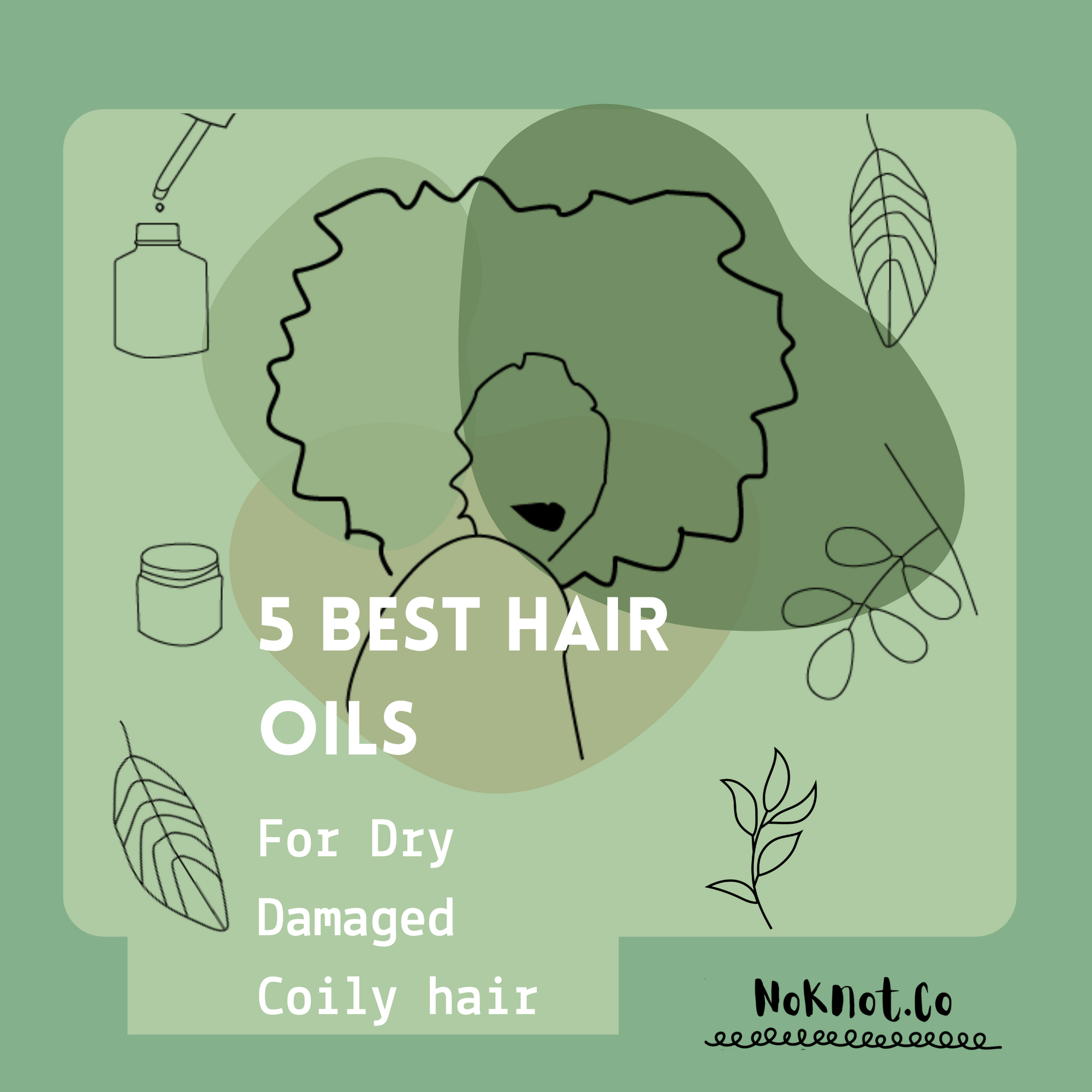 5 Best hair oils for dry damaged coily hair
